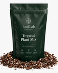 Tropical Plant Mix